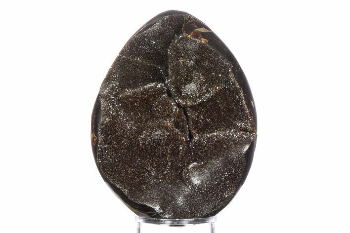 Septarian Dragon Egg Geode - Sparkly Black Crystals #383845